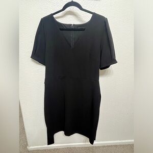 Express Large sheath dress size Large